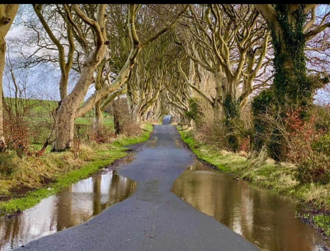 Divine Homestay Ballycastle