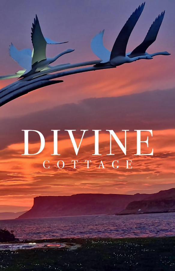 Homestay Divine *